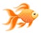 Vector illustration isolated on background Goldfish aquarium fish silhouette illustration. Colorful cartoon flat aquarium fish ico