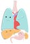 Vector illustration of isolated cartoon anatomical animated organs such as lungs, heart, stomach, liver with gallbladder