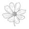 Vector illustration, isolated cosmos flower in black and white colors, outline hand painted drawing