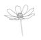 Vector illustration, isolated cosmos flower in black and white colors, outline hand painted drawing