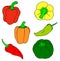 Vector illustration of isolated peppers set
