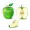 Vector illustration of a juicy green apple.