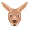 vector illustration , kangaroo , flat style , front side