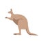 vector illustration , kangaroo , flat style ,profile