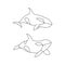 Vector illustration of killer whale set outline. Line art marine animal Orca