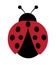 Vector Illustration of a Ladybug