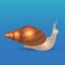 Vector illustration of a large snail Achatina.