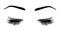 Vector illustration of lashes and brow.