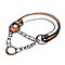 vector illustration of a leash collar chain for a dog