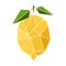 Vector illustration of a lemon in a trendy abstract style for prints, decoration of various products, posters, labels