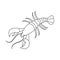 Vector illustration of lobster and red symbol. Set of lobster and atlantic stock vector illustration.