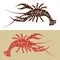 Vector illustration of a lobster in two solutions
