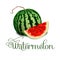 Vector illustration logo for whole ripe red fruit watermelon, green stem, cut half, sliced slice berry with red flesh