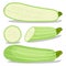 Vector illustration logo for whole ripe vegetable squash zucchini