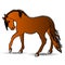 vector illustration, lonely bay horse, color design