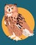 Vector illustration of long eared owl, Wild Bird