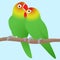 Vector illustration of lovebirds parrots.