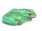 Vector illustration of low poly frog.