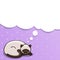 Vector illustration with lying siamese cat on purple dotted background. Cartoon template design for banner, poster, cover