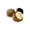 Vector illustration of a macadamia peeled whole, cracked into halves. Food symbol. Whole nuts and macadamia kernels.