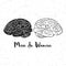 Vector illustration of man and woman brains. These are iconic representations of gender psychology, creativity, ideas.