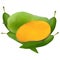 Vector illustration of a mango with an attractive color.