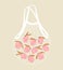 Vector illustration of mesh eco bag with peaches inside a beige background.