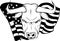 vector illustration of Monochrome head bull with usa flag