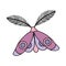 Vector illustration of moth with antennae. Butterfly wings of insect decorated with circles. Mystic symbol of celestial