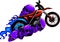 vector illustration of Motocross dirt rider on white background