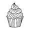Vector illustration of muffin with cream in doodle style. Cute hand drawn cupcake. For greeting cards, posters, labels