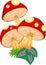 Vector illustration of mushroom cartoon