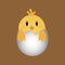 Vector illustration, newly hatched chick in an egg, simple flat design concept