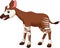 Vector illustration of okapi cartoon