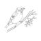 Vector illustration with one line. Bullfinch on a twig with mountain ash in winter.