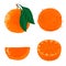 Vector illustration of orange fruits