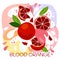 Vector illustration of organic red blood orange milkshake or fruit drink. ripe red orange fruits with splash of milk, bright fresh