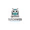 Vector illustration of an owl Tutoring for innovative educational platform logo