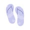 Vector illustration of pair of blue flip flops