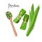 Vector illustration of pandan leaves, shredded pandan spices in wooden spoon and wrapped leaves