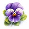Vector Illustration Of Pansy Flower In The Style Of Vicente Romero Redondo