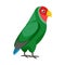 Vector illustration of parrot and green logo. Set of parrot and brazilian vector icon for stock.