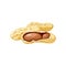 Vector illustration of a peanut peeled whole, cracked into halves. Food symbol. Whole nuts and peanut kernels.