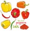 Vector illustration of peppers, chili peppers, cayenne and spice