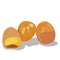 Vector and illustration of pickled eggs. Close-up of a whole egg, half with the white and yolk.