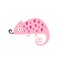 Vector illustration of a pink chameleon in a modern trendy flat style.