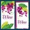 Vector illustration of pink grape vine and green leaves. Set of