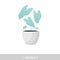 Vector Illustration. Plant in pot. Caladium flower