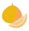 Vector illustration of a pomelo with a slice. Tasty fruit on a white background