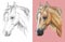 Vector illustration portrait of beautiful welsh pony